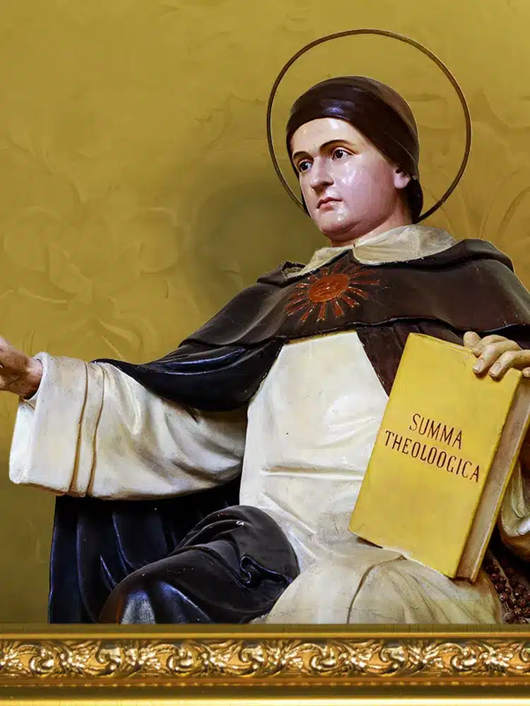 01 - 77d50d83-1792-40e8-a054-96090c6a2f27_medium